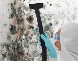 Best Mold Remediation for Healthcare Facilities in Gratton, VA